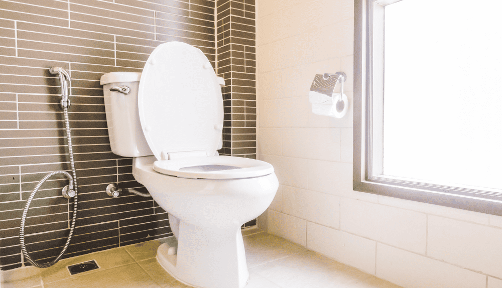 toilet round standard